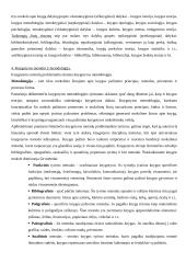 Knygotyros mokslo ištakos 3 puslapis