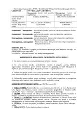 Komanda bei komandinis darbas  2 puslapis