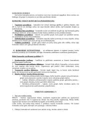 Komanda bei komandinis darbas  3 puslapis