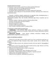 Komanda bei komandinis darbas  8 puslapis