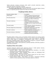 Komunikacija ir bendravimo procesas 11 puslapis