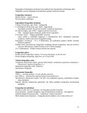 Komunikacijos istorija 15 puslapis