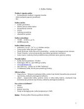 Komunikacijos istorija 3 puslapis