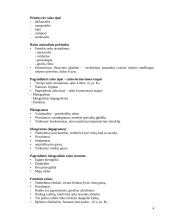 Komunikacijos istorija 4 puslapis