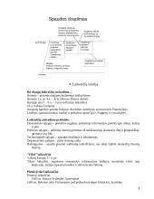 Komunikacijos istorija 8 puslapis