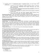 Konspektas konstitucinė teisė 16 puslapis