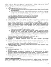 Konspektas konstitucinė teisė 19 puslapis