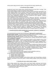 Išsami konstitucinės teisės teorija atsiskaitymui 3 puslapis