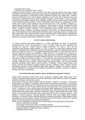 Išsami konstitucinės teisės teorija atsiskaitymui 4 puslapis