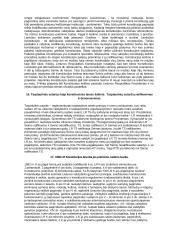 Išsami konstitucinės teisės teorija atsiskaitymui 7 puslapis