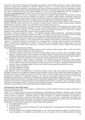 Išsami konstitucinės teisės teorija egzaminui 13 puslapis