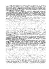 Konstitucinė teisė - teorija egzaminui 16 puslapis