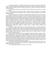 Konstitucinė teisė - teorija egzaminui 20 puslapis