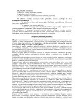 Plati konstitucinės teisės teorija egzaminui 17 puslapis