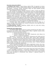 Konstitucinė teisė skirtingose valstybėse 11 puslapis