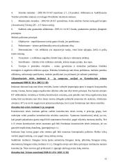 Plati konstitucinės teisės teorija 12 puslapis