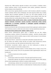 Plati konstitucinės teisės teorija 13 puslapis