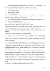 Plati konstitucinės teisės teorija 17 puslapis