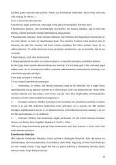 Plati konstitucinės teisės teorija 19 puslapis