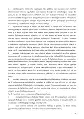 Plati konstitucinės teisės teorija 20 puslapis