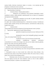 Plati konstitucinės teisės teorija 5 puslapis