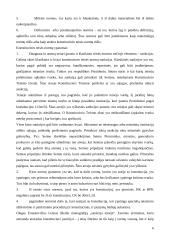 Plati konstitucinės teisės teorija 6 puslapis