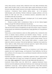 Plati konstitucinės teisės teorija 7 puslapis