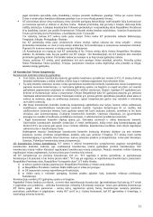 Išsami konstitucinės teisės teorija 11 puslapis