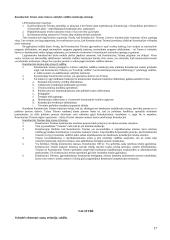 Išsami konstitucinės teisės teorija 17 puslapis