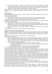 Išsami konstitucinės teisės teorija 19 puslapis