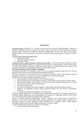 Išsami konstitucinės teisės teorija 4 puslapis