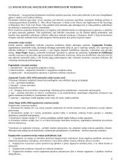 Kultūra, visuomenė, socializacija 6 puslapis