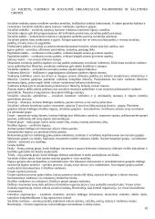 Kultūra, visuomenė, socializacija 10 puslapis