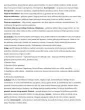 Kūrybos psichologijos teorija 2 puslapis