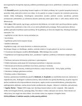 Kūrybos psichologijos teorija 6 puslapis