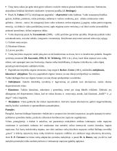 Kūrybos psichologijos teorija 8 puslapis