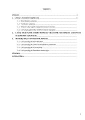 Lyčių lygybė viešajame sektoriuje Lietuvoje 2 puslapis