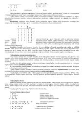 Teiginių logikos objektas 14 puslapis