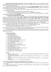 Teiginių logikos objektas 4 puslapis