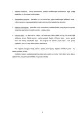 Pagrindinės mąstymo formos 6 puslapis