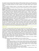Mastymas. Kalba. Intelektas 2 puslapis