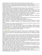 Mastymas. Kalba. Intelektas 4 puslapis