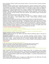 Mastymas. Kalba. Intelektas 7 puslapis