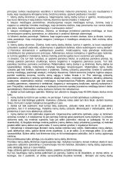 Matematikos didaktika 11 puslapis