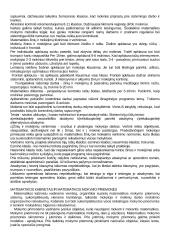 Matematikos didaktika 12 puslapis