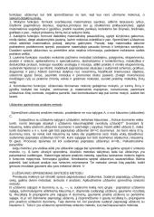 Matematikos didaktika 17 puslapis