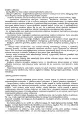 Matematikos didaktika 19 puslapis