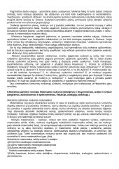 Matematikos didaktika 20 puslapis