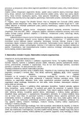 Matematikos didaktika 7 puslapis