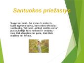 Kokios yra šeimos formos? Kokie santuokos motyvai? 6 puslapis